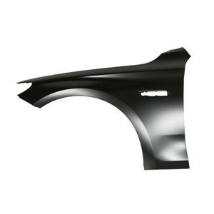 BLIC 6504-04-0067313P - Front fender L (with indicator hole, steel) fits: BMW 5 F10, F11 12.09-02.17