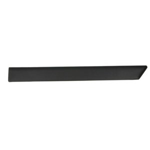 BLIC 5703-04-2564473P - Garnish strips for fender rear L (black) fits: FORD FIESTA V 3D 11.01-03.05