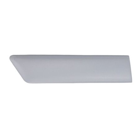 5703-04-2564478PP Trim/Protection Strip, wing BLIC
