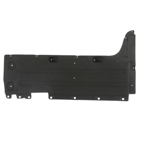 6601-02-0093984P Engine Cover BLIC