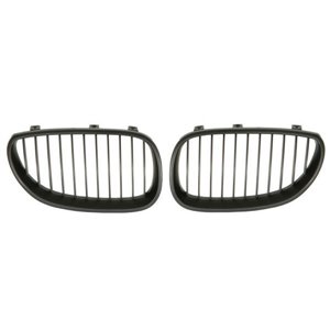 6502-07-0066991KP Radiator Grille BLIC - Top1autovaruosad