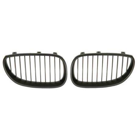 6502-07-0066991KP Radiator Grille BLIC