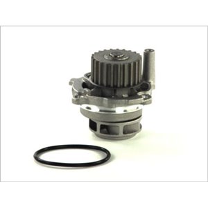 D1W028TT Water Pump, engine cooling THERMOTEC - Top1autovaruosad