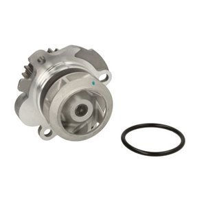 D1W002TT Water Pump, engine cooling THERMOTEC - Top1autovaruosad
