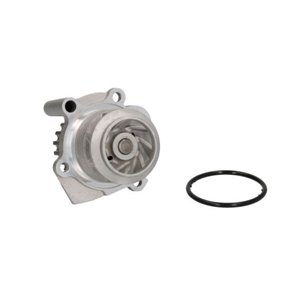 D1W037TT Water Pump, engine cooling THERMOTEC - Top1autovaruosad