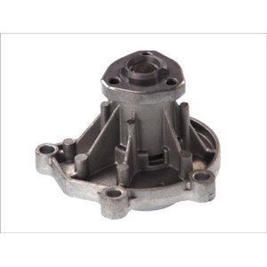 D1W046TT Water Pump, engine cooling THERMOTEC - Top1autovaruosad