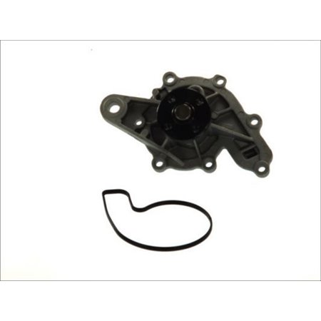 D1M043TT Water Pump, engine cooling THERMOTEC