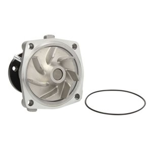 D1G042TT Water Pump, engine cooling THERMOTEC - Top1autovaruosad