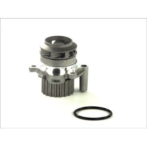 D1A023TT Water Pump, engine cooling THERMOTEC - Top1autovaruosad
