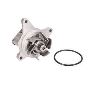 D13038TT Water Pump, engine cooling THERMOTEC - Top1autovaruosad