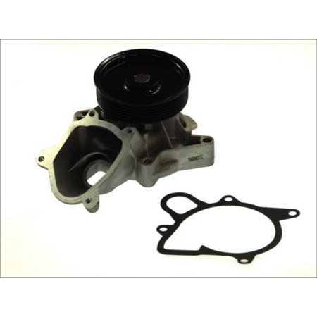 D1B031TT Water Pump, engine cooling THERMOTEC