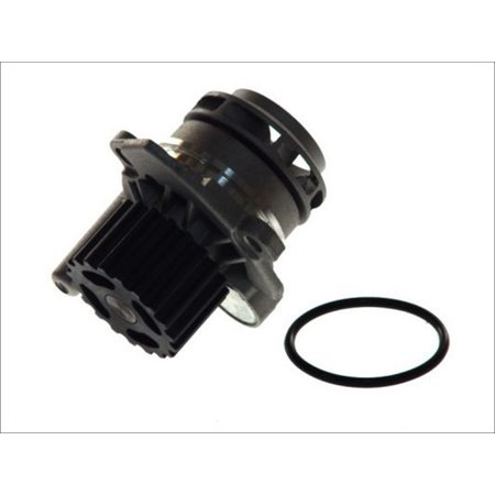 D1W039TT Water Pump, engine cooling THERMOTEC