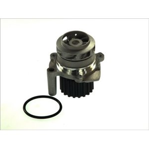 D1W048TT Water Pump, engine cooling THERMOTEC - Top1autovaruosad