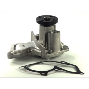 D1G040TT Water Pump, engine cooling THERMOTEC - Top1autovaruosad