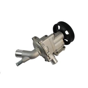 D1B029TT Vattenpump, motorkylning THERMOTEC - Top1autovaruosad