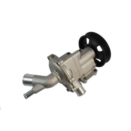 D1B029TT Water Pump, engine cooling THERMOTEC