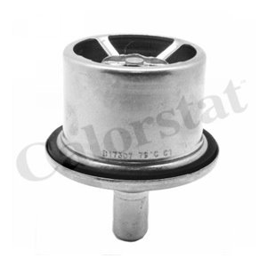 THS19099.87 Cooling system thermostat (87°C, with gasket) fits: DAF 75 CF, 85