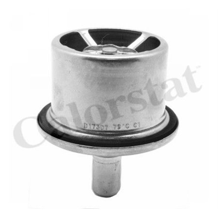 THS19099.87 Cooling system thermostat (87°C, with gasket) fits: DAF 75 CF, 85