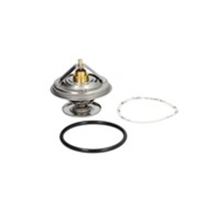 4150.83D50 Thermostat, coolant BorgWarner (Wahler)