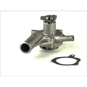 THERMOTEC D1G030TT - Water pump fits: FORD ESCORT V, ESCORT V EXPRESS, ESCORT VI, FIESTA III, FIESTA/MINIVAN, ORION III 1.0/1.1/