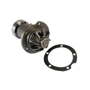 D1M006TT Water Pump, engine cooling THERMOTEC - Top1autovaruosad