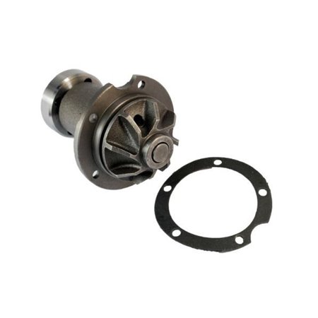 D1M006TT Water Pump, engine cooling THERMOTEC