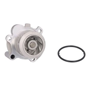 D1W042TT Water Pump, engine cooling THERMOTEC - Top1autovaruosad