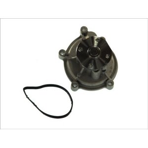 D1M051TT Water Pump, engine cooling THERMOTEC - Top1autovaruosad