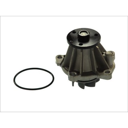 D1G033TT Water Pump, engine cooling THERMOTEC