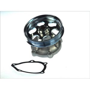 D12071TT Water Pump, engine cooling THERMOTEC - Top1autovaruosad