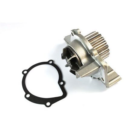 D1F061TT Water Pump, engine cooling THERMOTEC