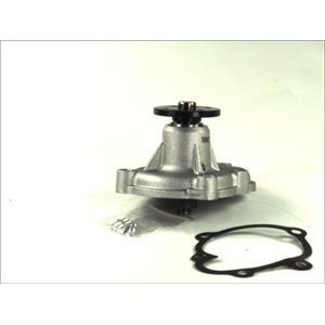 D1X034TT Water Pump, engine cooling THERMOTEC - Top1autovaruosad