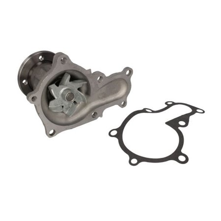 D12043TT Water Pump, engine cooling THERMOTEC
