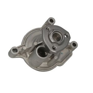 D1W053TT Water Pump, engine cooling THERMOTEC - Top1autovaruosad