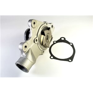 D1Y000TT Water Pump, engine cooling THERMOTEC - Top1autovaruosad