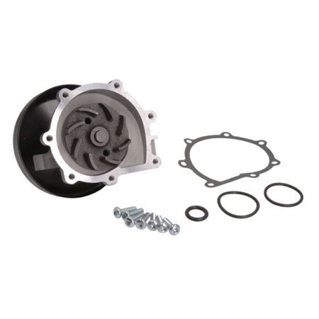 D1U004TT Water Pump, engine cooling THERMOTEC