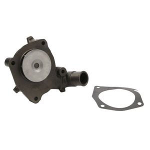 THERMOTEC D1G022TT - Water pump fits: FORD COURIER, ESCORT IV, ESCORT IV EXPRESS, ESCORT V, ESCORT V EXPRESS, ESCORT VI, FIESTA,