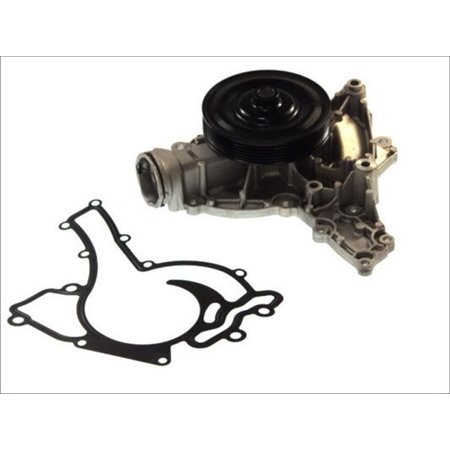 D1M050TT Water Pump, engine cooling THERMOTEC