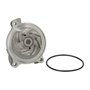 D1W018TT Water Pump, engine cooling THERMOTEC - Top1autovaruosad