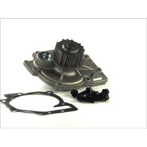 D1V013TT Water Pump, engine cooling THERMOTEC - Top1autovaruosad