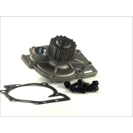 D1V013TT Water Pump, engine cooling THERMOTEC