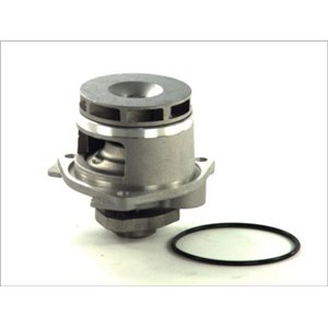 D1X028TT Water Pump, engine cooling THERMOTEC - Top1autovaruosad