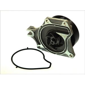 D13041TT Water Pump, engine cooling THERMOTEC - Top1autovaruosad