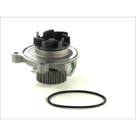 D1A027TT Water Pump, engine cooling THERMOTEC