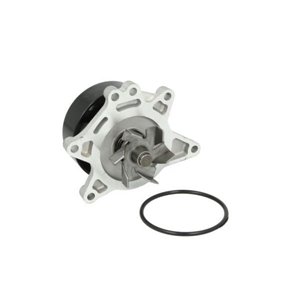 D12083TT Water Pump, engine cooling THERMOTEC - Top1autovaruosad