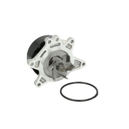 D12083TT Water Pump, engine cooling THERMOTEC