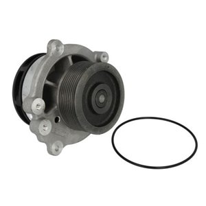 WP-DF113 Water Pump, engine cooling THERMOTEC - Top1autovaruosad