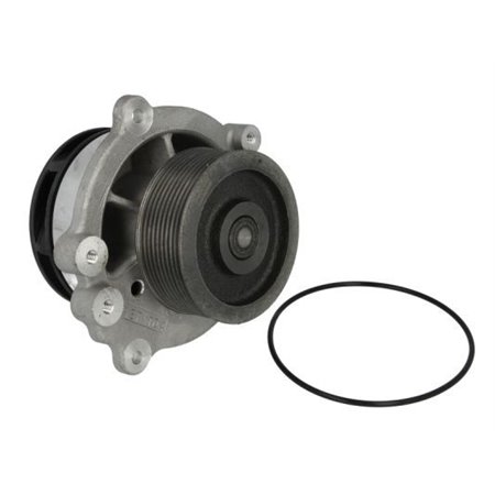 WP-DF113 Water Pump, engine cooling THERMOTEC