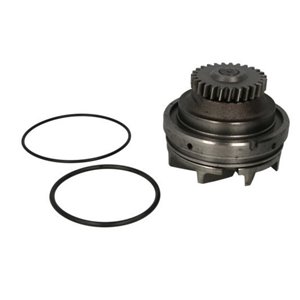 WP-RV115 Vattenpump, motorkylning THERMOTEC - Top1autovaruosad