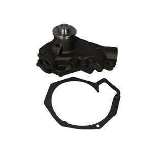 WP-DF112 Water Pump, engine cooling THERMOTEC - Top1autovaruosad